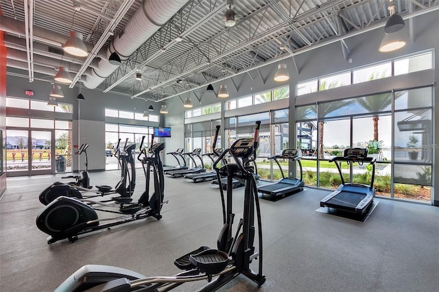 workout area featuring a towering ceiling