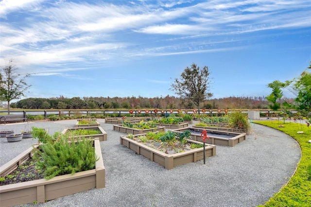 view of property's community featuring a vegetable garden