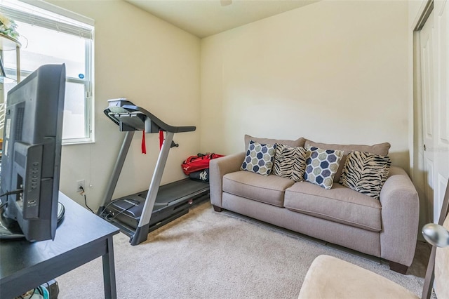 2815 Shelburne Way, Saint Cloud, FL 34772 - exercise room featuring carpet flooring