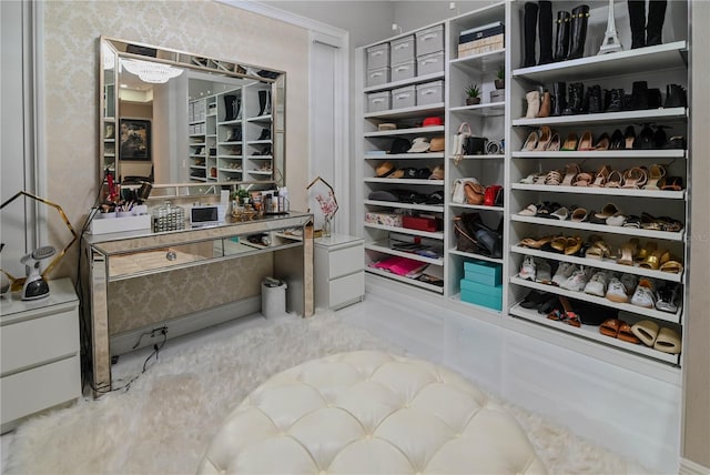 view of walk in closet