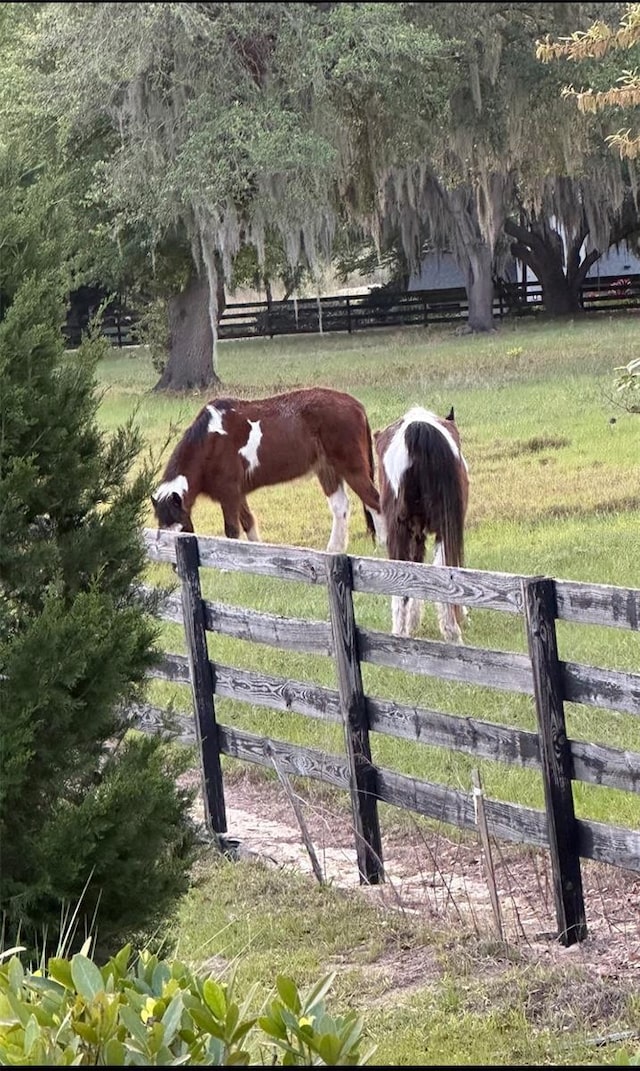 view of stable featuring a rural view