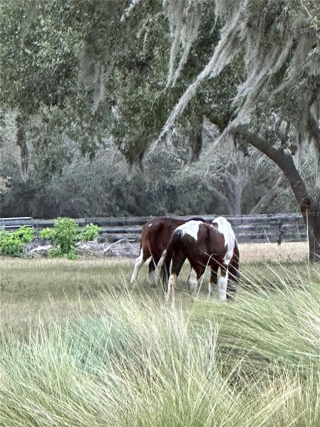 view of horse barn