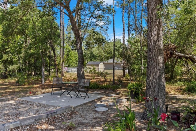 view of yard featuring a patio