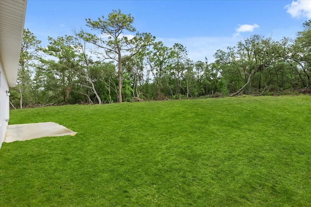 6571 N Bedstrow Blvd, Dunnellon, FL 34434 - photo 33
