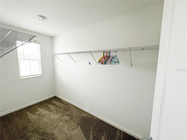 547 Jett Ln, Davenport, FL 33837 - spacious closet with carpet flooring