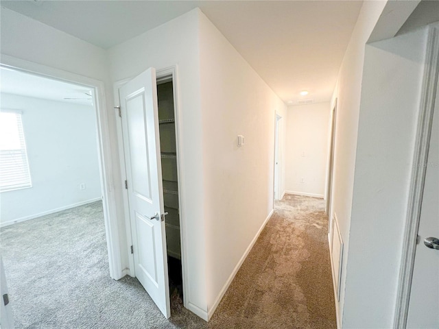 547 Jett Ln, Davenport, FL 33837 - hallway with carpet flooring and baseboards