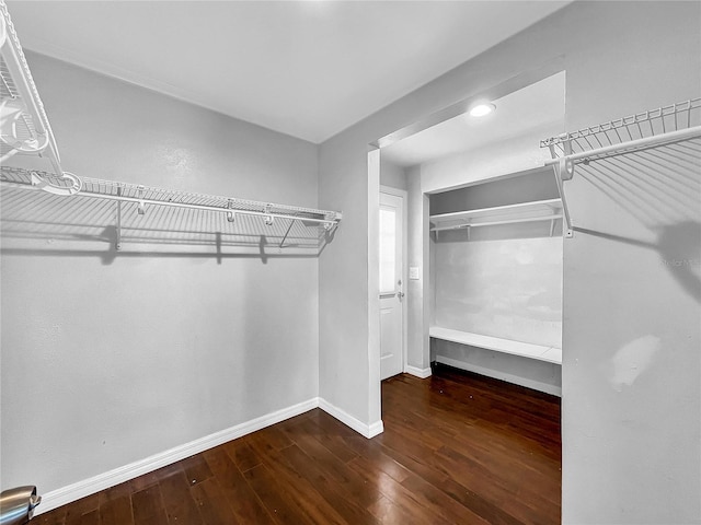 spacious closet with wood-type flooring