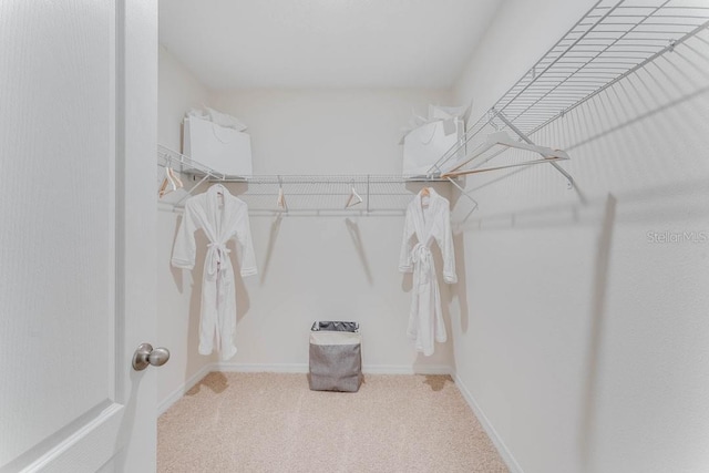 walk in closet with carpet flooring