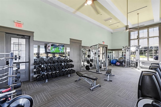 8848 Bismarck Palm Dr, Winter Garden, FL 34787 - exercise room featuring carpet flooring, ceiling fan, and a high ceiling