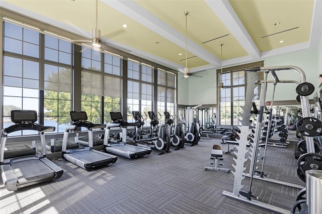 8848 Bismarck Palm Dr, Winter Garden, FL 34787 - workout area featuring carpet floors, a high ceiling, and ceiling fan