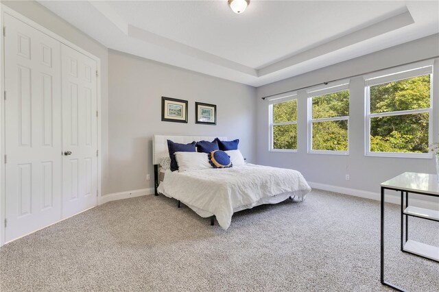 2127 Bay Line Rd, Oakland, FL 34787 - carpeted bedroom with a tray ceiling and baseboards