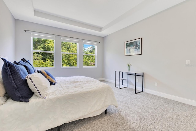 2127 Bay Line Rd, Oakland, FL 34787 - bedroom featuring baseboards, carpet, and a raised ceiling
