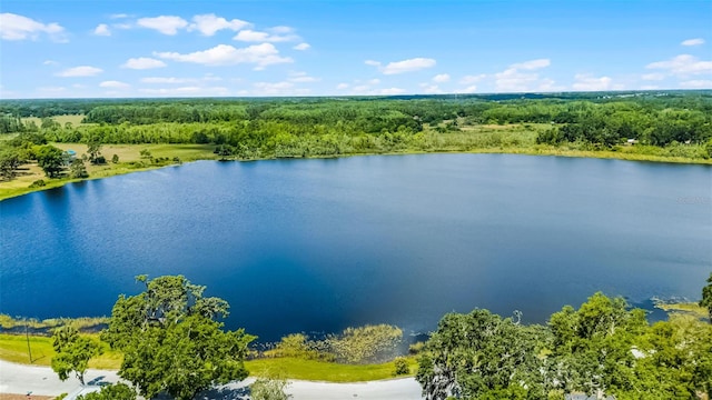 aerial view with a water view and a wooded view