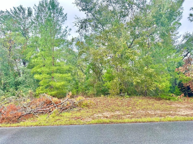 TBD SW 46th Ter, Ocala FL, 34473 land for sale