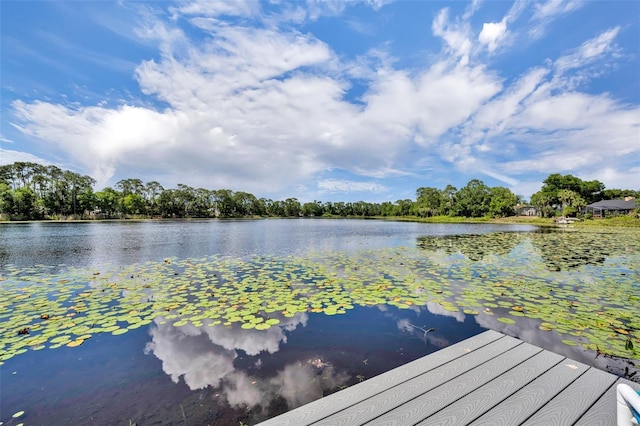 3960 Lake Mira Dr, Orlando, FL 32817 - photo 6