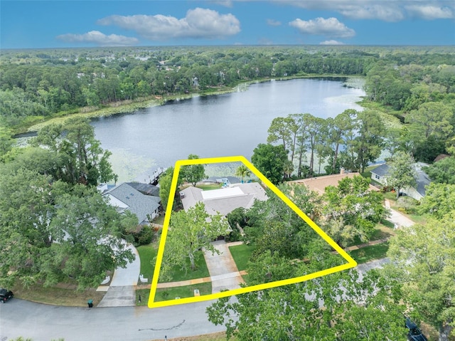 3960 Lake Mira Dr, Orlando, FL 32817 - photo 39