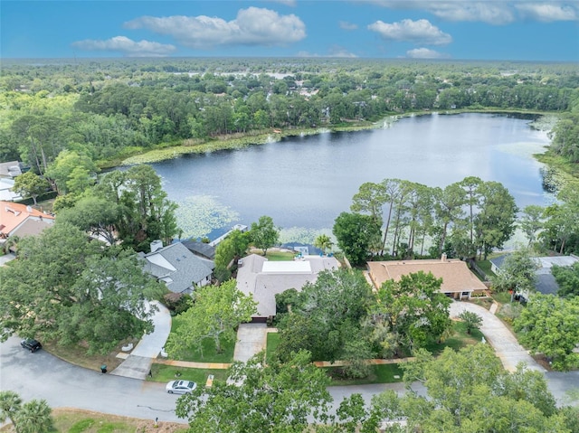 3960 Lake Mira Dr, Orlando, FL 32817 - photo 41
