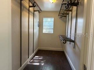 walk in closet with dark wood finished floors