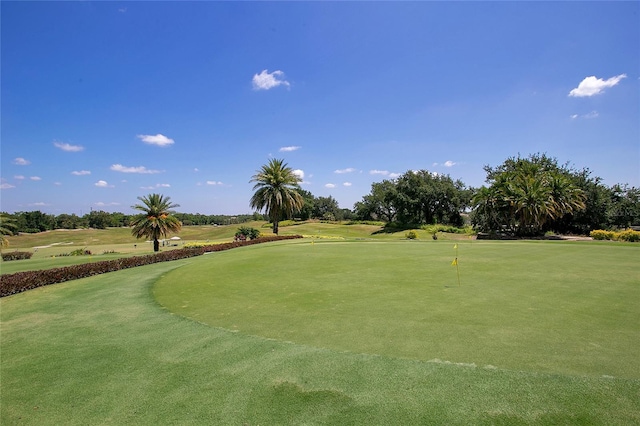 7905 Jacks Club Dr, Kissimmee, FL 34747 - view of home's community featuring view of golf course and a putting area