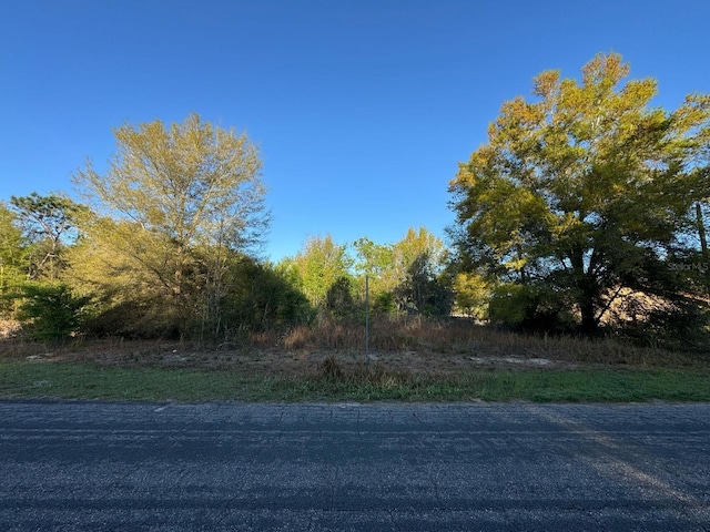 8216 N Sarazen Dr, Citrus Springs FL, 34434 land for sale