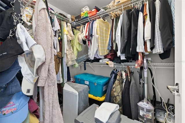view of spacious closet