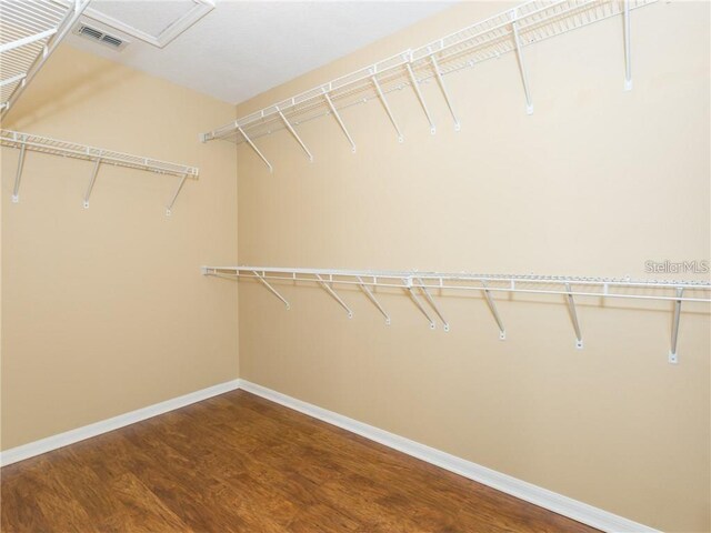 173 Donner Dr, Winter Garden, FL 34787 - photo 17
