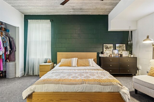 bedroom featuring a walk in closet, ceiling fan, concrete block wall, carpet floors, and a closet