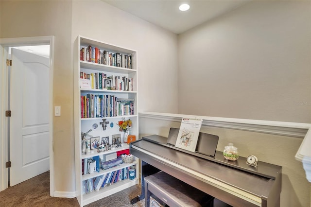 sitting room featuring carpet flooring