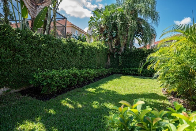 2232 Lake Vilma Dr, Orlando, FL 32835 - view of yard