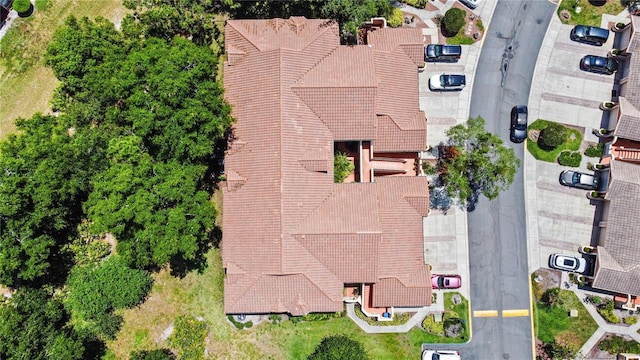 aerial view