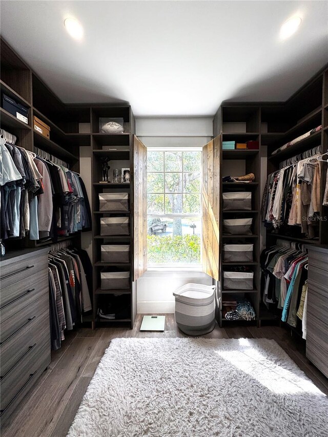 walk in closet featuring wood finished floors