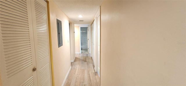 hallway with baseboards, electric panel, light wood finished floors, and a textured ceiling