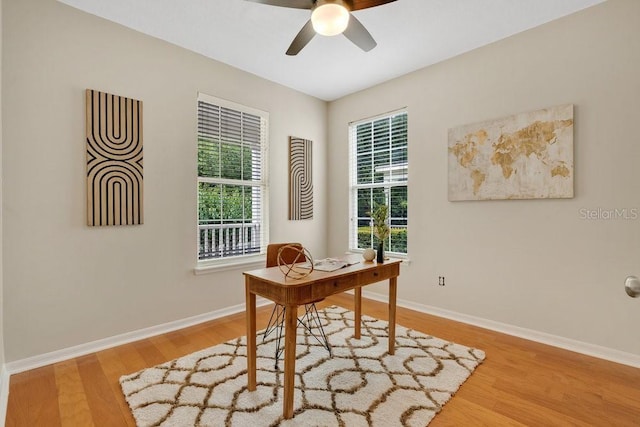 1131 Indigo Dr, Celebration, FL 34747 - photo 12
