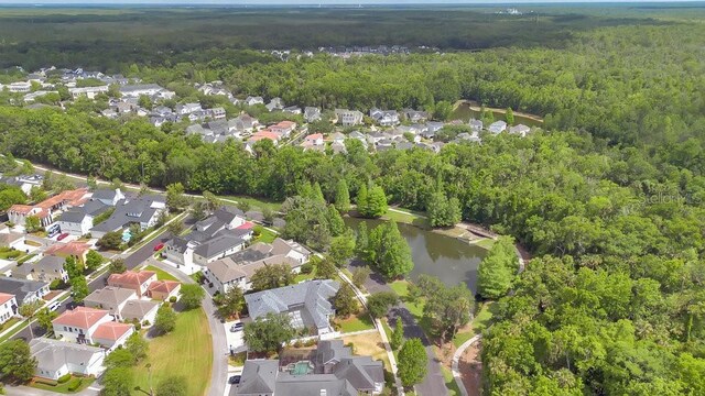 1131 Indigo Dr, Celebration, FL 34747 - photo 33