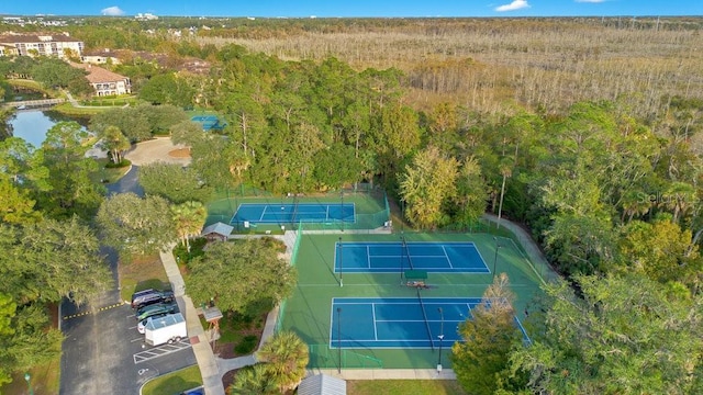 1131 Indigo Dr, Celebration, FL 34747 - photo 46