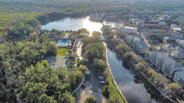 1131 Indigo Dr, Celebration, FL 34747 - photo 47