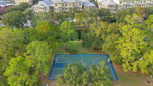 1131 Indigo Dr, Celebration, FL 34747 - photo 52