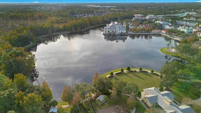 1131 Indigo Dr, Celebration, FL 34747 - photo 53