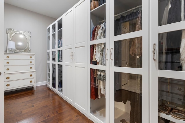 spacious closet featuring dark wood finished floors