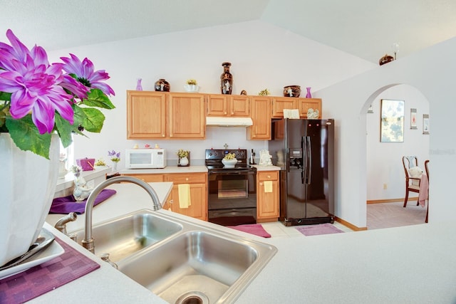 2712 Rolling Broak Dr, Orlando, FL 32837 - kitchen with arched walkways, a sink, black appliances, lofted ceiling, and under cabinet range hood