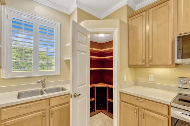pantry with a sink