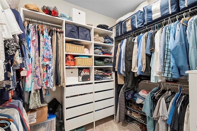 view of walk in closet