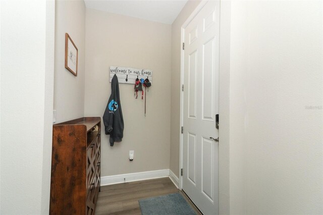12272 Bracco St, Winter Garden, FL 34787 - photo 5