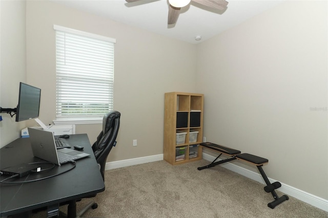 12272 Bracco St, Winter Garden, FL 34787 - photo 31