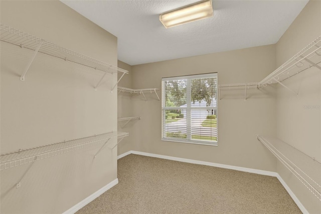 26807 Bull Run, Leesburg, FL 34748 - walk in closet with carpet floors