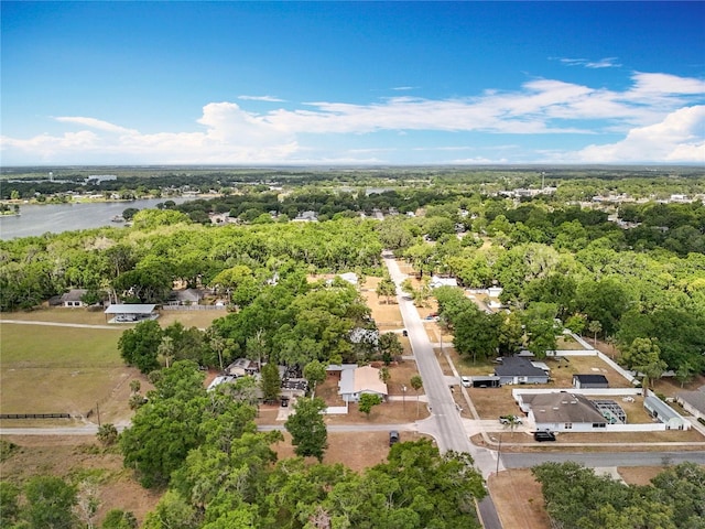 398 Rose St, Umatilla, FL 32784 - photo 45