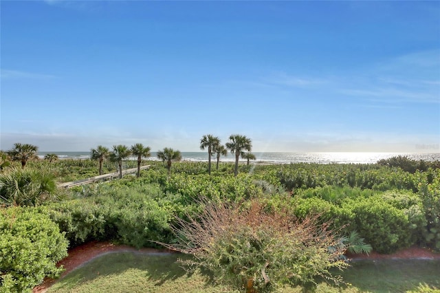 136 Beach Park Ln Unit 35, Cape Canaveral, FL 32920 - view of yard with a water view