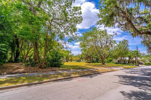 303 S Lakeview Ave, Winter Garden, FL 34787 - photo 2
