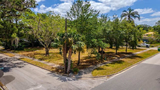 303 S Lakeview Ave, Winter Garden, FL 34787 - photo 3