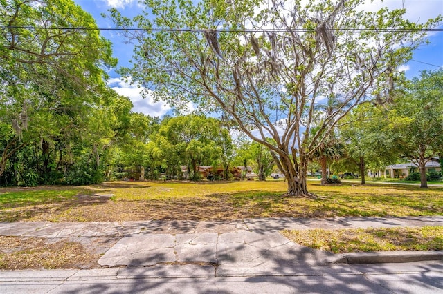 303 S Lakeview Ave, Winter Garden, FL 34787 - photo 4